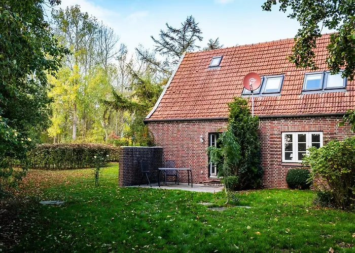 Zugvogel Og